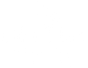 Color Life Vitality